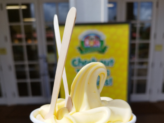 ドールプランテーションにて