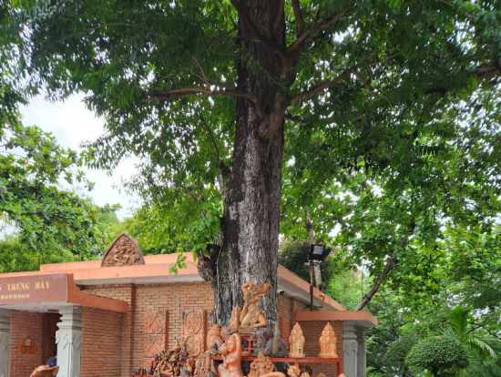 色々な姿型の像達