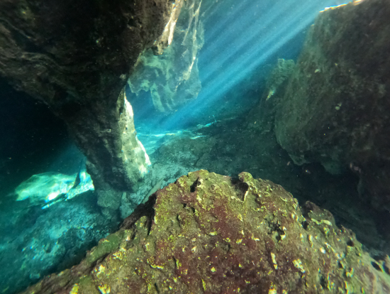 光のカーテンも小林さんが「今!」とタイミングを教えてくれます