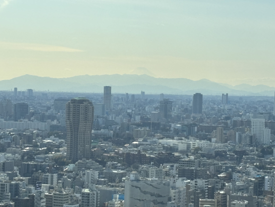 東京タワーから富士山が見えました。