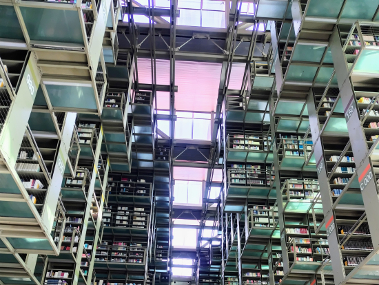 「空中図書館」ことバスコンセロス図書館