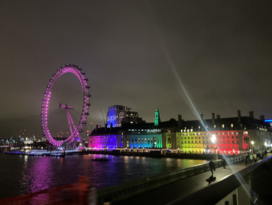 ロンドンアイ。街はライトアップされていて綺麗でした。