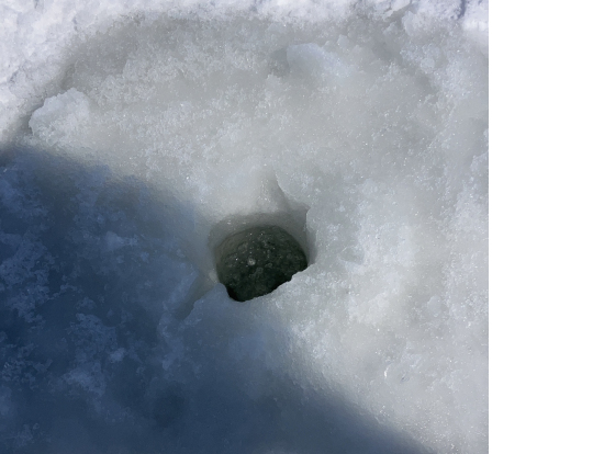 穴が空きました