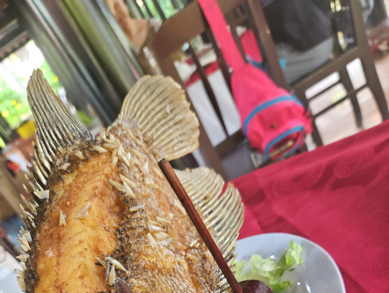 ランチの象耳魚と、風船のように丸く揚げた餅もとても美味しかったです。