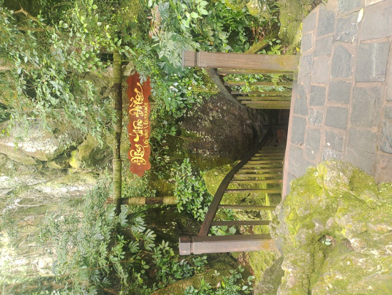 入口は小さくても