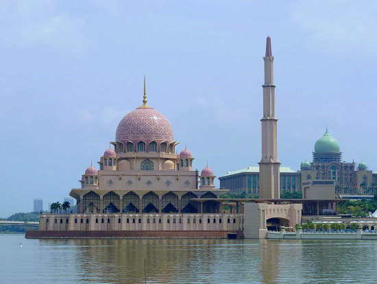 ピンクモスク綺麗でした