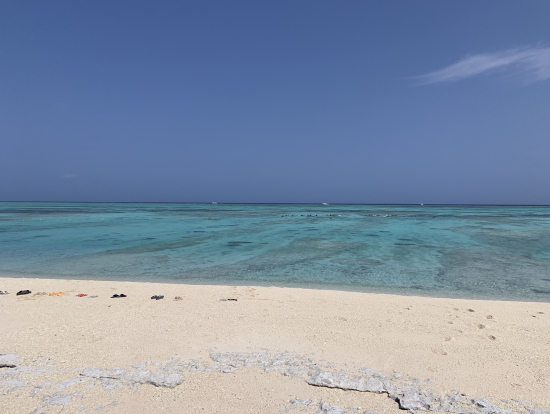 海の色が素敵でした