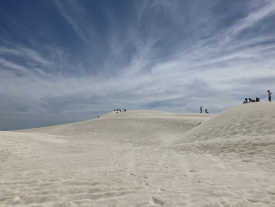 ランセリン砂丘