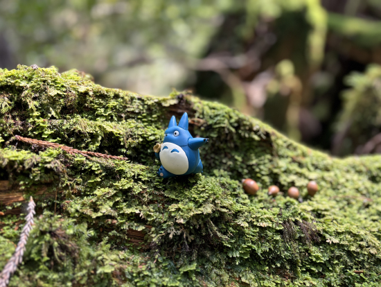 トトロに会いに