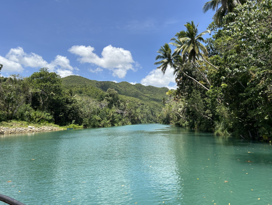 ロボック川、船からの眺め