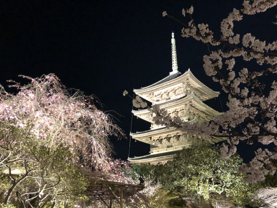 東寺ライトアップ