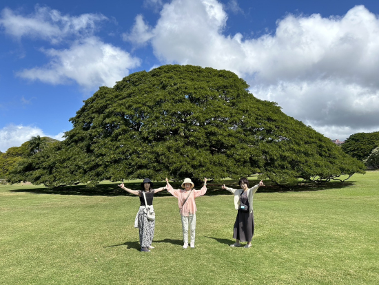 この木なんのき