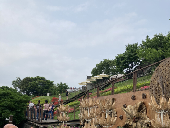 ロープウェイも良かった。