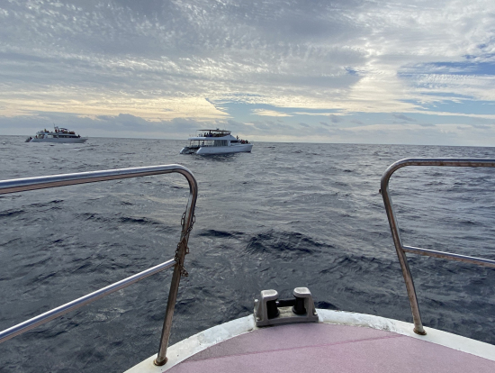 波に揺られながら舳先でクジラが上がってくるのをひたすら待つ