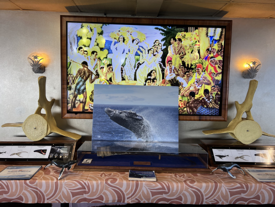 ほんとにこんな感じにJUMPしてました