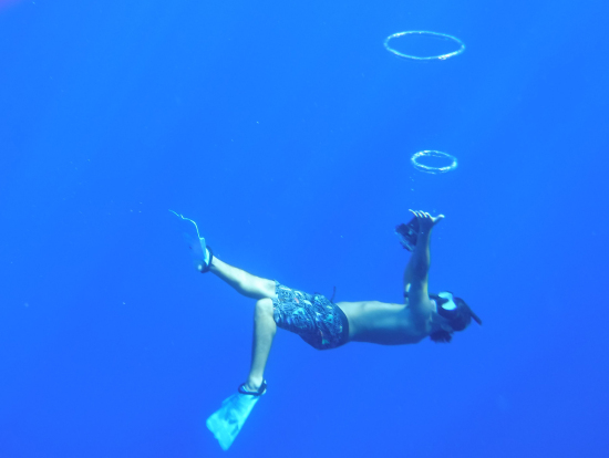 イルカに出会えないのでカメラマン、バブリングサービス。