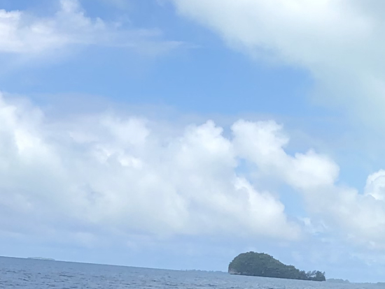 クジラ島