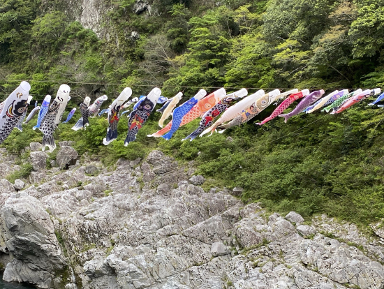 大歩危峡遊覧船