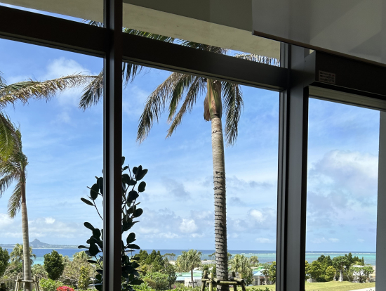 ランチバイキングから見える景色です。