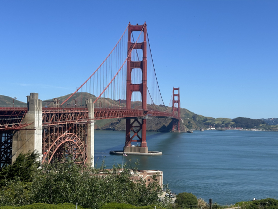 言わずと知れたあれ