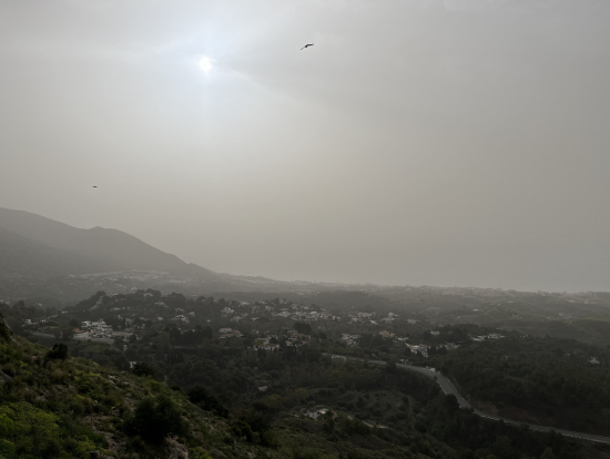 サハラ砂漠の砂とのこと