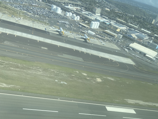 ふわりと飛び立った瞬間