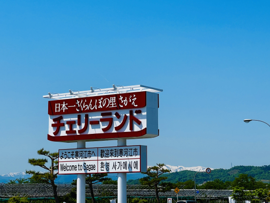 混んでいたけど「道の駅」も楽しめた
