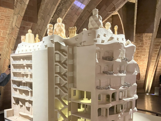 モデル 背面より