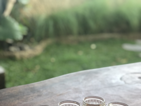 コーヒー農園 テイスティング 全て無料!