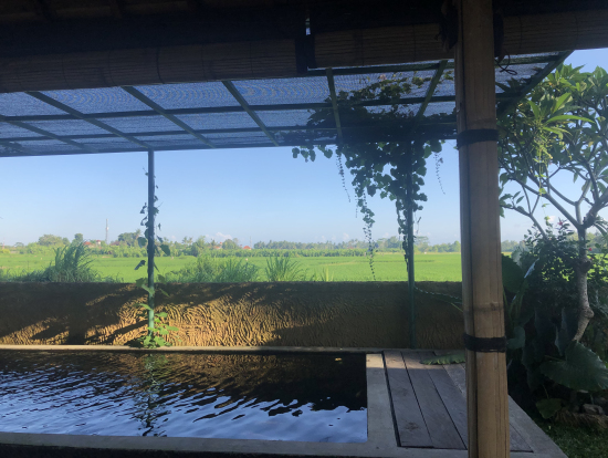 コーヒー農園 テイスティングしながら田園が見える