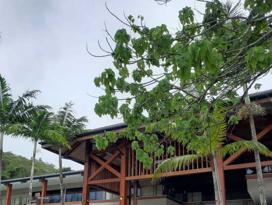 島にあるリゾートホテル