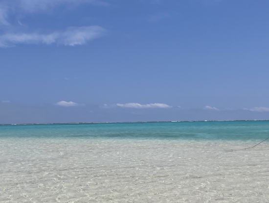 百合が浜から撮影