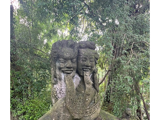 モンキーフォーレスト2