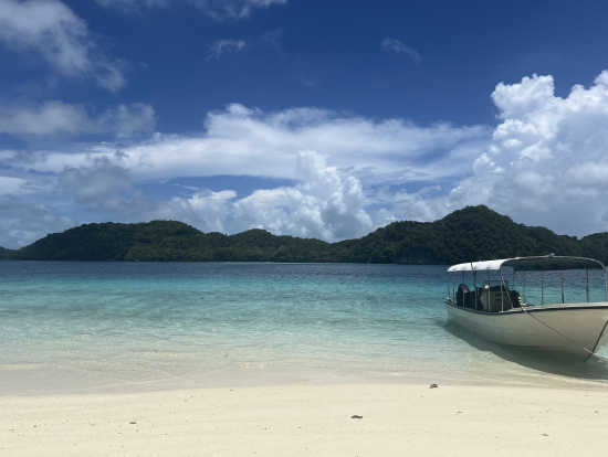 アントニオイノキ島の向かいの無人島で泳ぎました