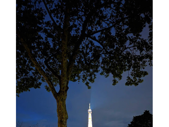 外でエッフェル塔シャンパンフラッシュ見物