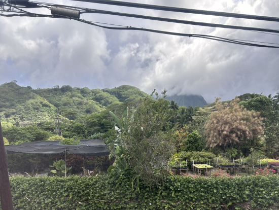 クアロアランチの農園