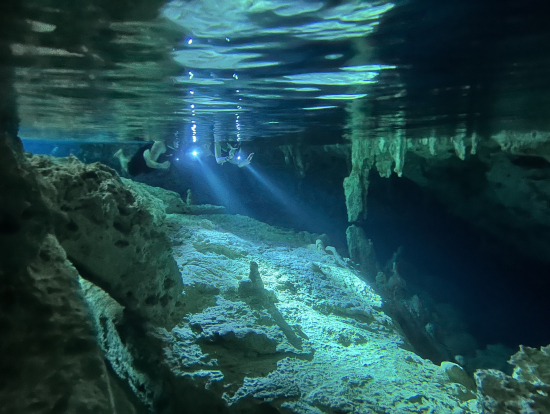 写真は全てガイドの岡田さんが撮ってくれました!かなりいい写真をたくさん撮っていただけました!!