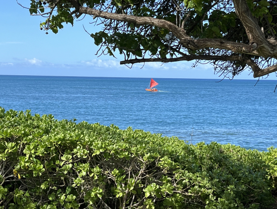 ラグーンの外の海。
