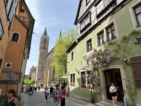 藤の花が綺麗でした