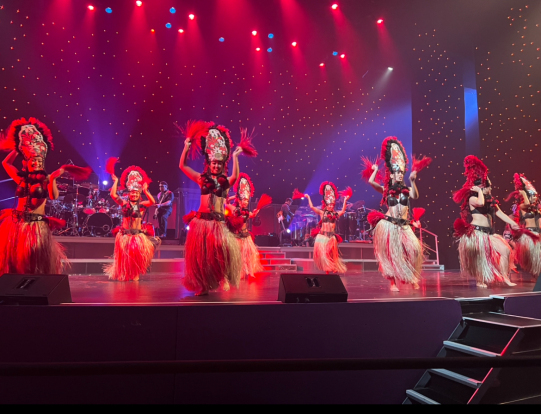 迫力のあるショー