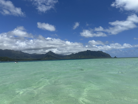 海