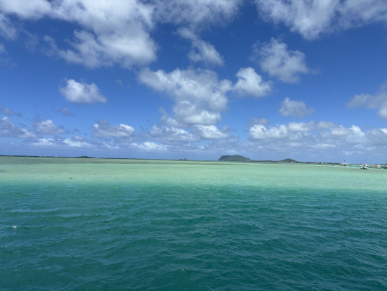 海2