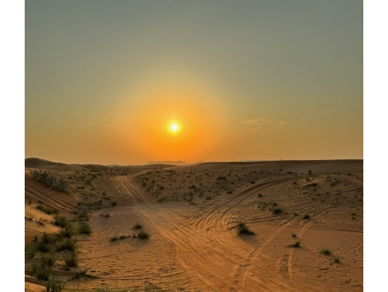 砂漠で見る夕日