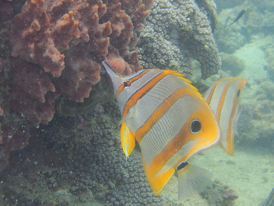 温かくて気持ちがよかったです!