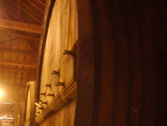 Douro Valley Winery_2