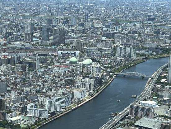 富士さんはどこ?