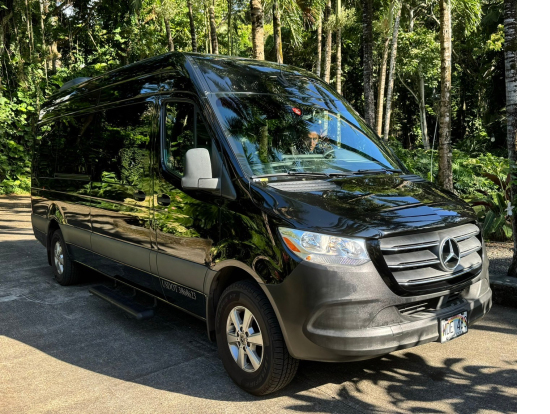 ベンツのバンが迎えに来てくれました