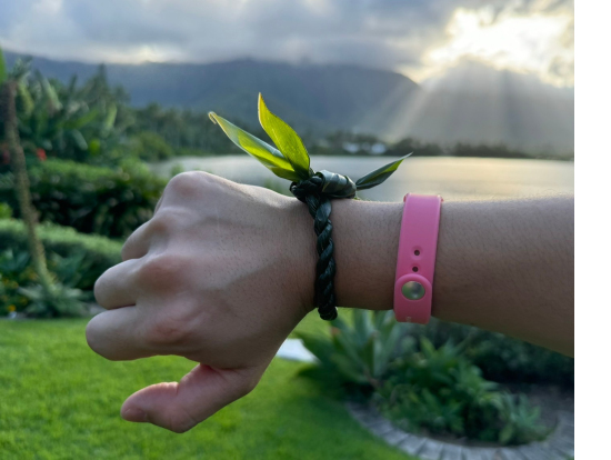 造ったティーリーフのブレスレット