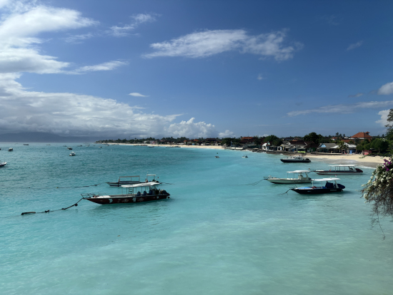ランチ場所からの景色