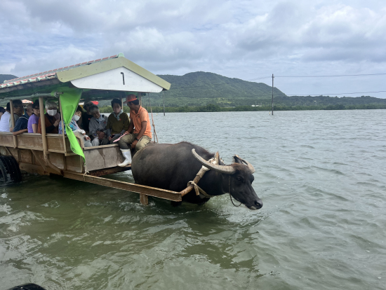水牛車